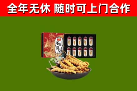 江夏烟酒回收冬虫夏草礼盒.jpg